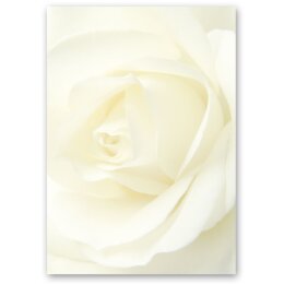 Briefpapier WEISSE ROSE - DIN A5 Format 50 Blatt Blumen &...
