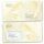 Motif envelopes Flowers & Petals, Love & Wedding, WHITE ROSE 50 envelopes (windowless) - DIN LONG (220x110 mm) | Self-adhesive | Order online! | Paper-Media