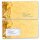 10 patterned envelopes MERRY CHRISTMAS in standard DIN long format (with windows)