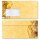 Briefpapier Set FROHE WEIHNACHTEN - 200-tlg. DL (mit Fenster)