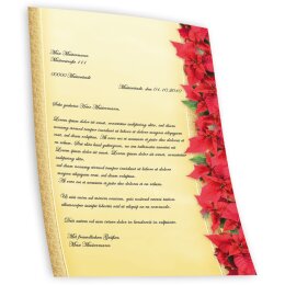 Briefpapier ROTE WEIHNACHTSSTERNE - DIN A5 Format 100 Blatt
