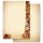 Motif Letter Paper! CHRISTMAS NUTS AND ORANGES 100 sheets DIN A4
