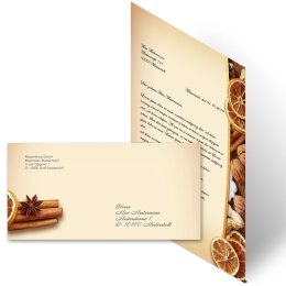 40-pc. Complete Motif Letter Paper-Set CHRISTMAS NUTS AND ORANGES
