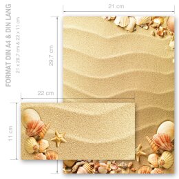 100 pezzi Set completo CONCHIGLIE NELLA SABBIA