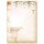 Motif Letter Paper! HUMMINGBIRD 50 sheets DIN A4 Animals, Motif paper, Paper-Media