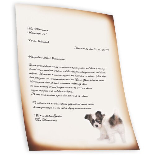 Motif Letter Paper! FUNNY PUPPY