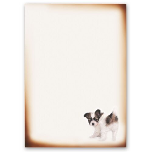 Motif Letter Paper! FUNNY PUPPY 20 sheets DIN A4 Animals, Animals, Paper-Media