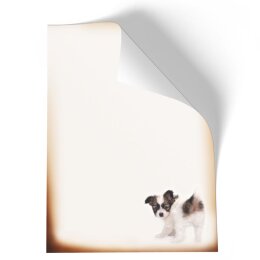 Stationery-Motif FUNNY PUPPY | Animals | High quality Stationery DIN A4 - 50 Sheets | 90 g/m² | Printed on one side | Order online! | Paper-Media