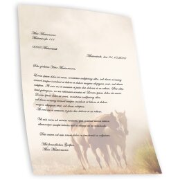 Motif Letter Paper! HORSES IN THE MIST