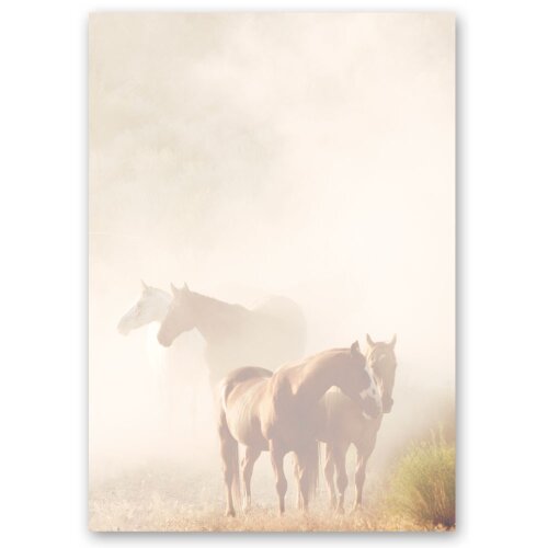 Motif Letter Paper! HORSES IN THE MIST 20 sheets DIN A4 Animals, Nature, Paper-Media