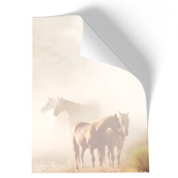 Briefpapier - Motiv PFERDE IM NEBEL | Tierwelt | Hochwertiges DIN A4 Briefpapier - 20 Blatt | 90 g/m² | einseitig bedruckt | Online bestellen!