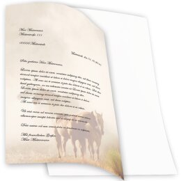 20 fogli di carta da lettera decorati Animali CAVALLI NELLA NEBBIA DIN A4 - Paper-Media