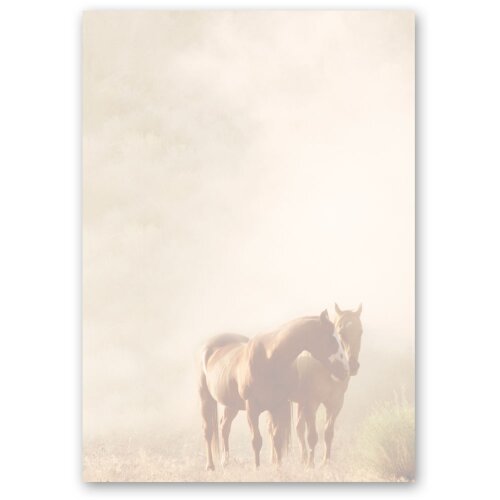 Motif Letter Paper! HORSES IN THE MIST 250 sheets DIN A5 Animals, Animals, Paper-Media