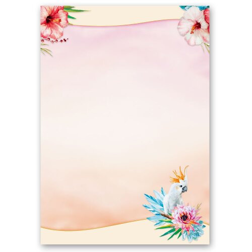 Motif Letter Paper! COCKATOO 100 sheets DIN A4