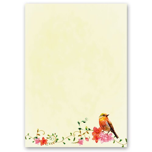 Papier à motif CHANT DES OISEAUX 100 feuilles DIN A6