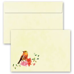 10 patterned envelopes BIRDS CHIRPING in C6 format...