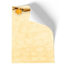 Motif Letter Paper! GOLDEN AUTUMN 100 sheets DIN A6