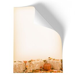 Briefpapier - Motiv HERBSTLAUB | Jahreszeiten - Herbst | Hochwertiges DIN A4 Briefpapier - 20 Blatt | 90 g/m² | einseitig bedruckt | Online bestellen!