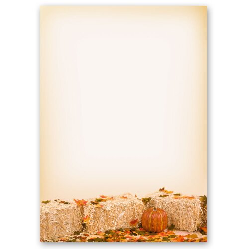 Papel de carta FOLLAJE OTOÑAL - 50 Hojas formato DIN A4 Estaciones - Otoño, Motivo de otoño, Paper-Media