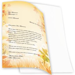 20 fogli di carta da lettera decorati Stagioni - Autunno SPAVENTAPASSERI DIN A4 - Paper-Media