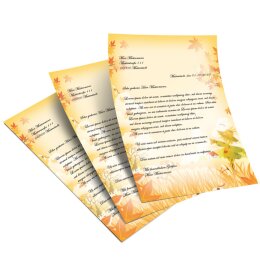 20 fogli di carta da lettera decorati Stagioni - Autunno SPAVENTAPASSERI DIN A4 - Paper-Media