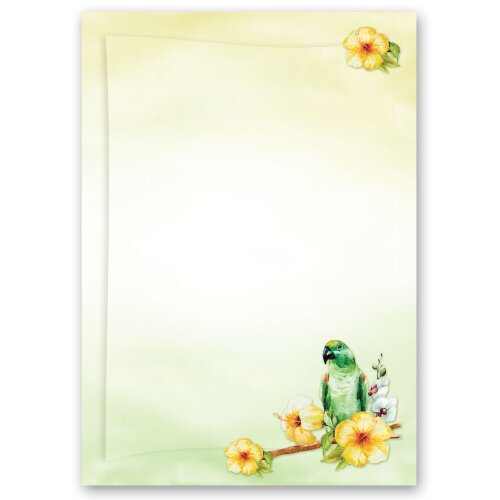 Motif Letter Paper! GREEN PARROT 20 sheets DIN A4 Animals, Animals, Paper-Media