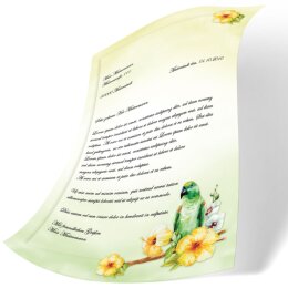 50 fogli di carta da lettera decorati PAPPAGALLO VERDE DIN A5
