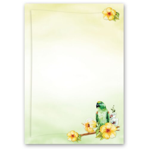 Motif Letter Paper! GREEN PARROT 100 sheets DIN A5 Animals, Animals, Paper-Media
