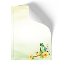 Briefpapier - Motiv GRÜNER PAPAGEI | Tierwelt | Hochwertiges DIN A5 Briefpapier - 250 Blatt | 90 g/m² | einseitig bedruckt | Online bestellen!