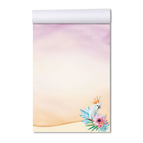Purchase notepads for your errands, shopping lists, or phone logs online. High-quality Notepad designs in various formats.