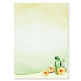 Notepads GREEN PARROT | DIN A6 Format |  10 Blocks Animals, , Paper-Media