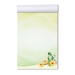 Purchase notepads for your errands, shopping lists, or phone logs online. High-quality Notepad designs in various formats.
