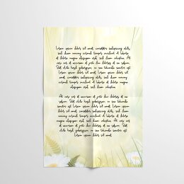Notepads DAISIES | DIN A6 Format