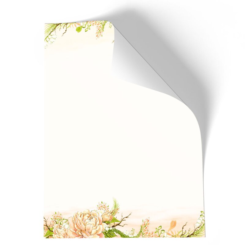 50 passende Briefumschläge DIN LANG mit Fenster Paper-Media Motivpapier Briefpapier Sets PFINGSTROSEN Blumen & Blüten Rosenmotiv 50 Blatt Briefpapier