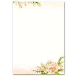 Motif Letter Paper! PEONIES 100 sheets DIN A6 Flowers & Petals, Rose motif, Paper-Media