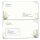 Envelopes Flowers & Petals, GREEN BRANCHES 10 envelopes (windowless) - DIN LONG (220x110 mm) | Self-adhesive | Order online! | Paper-Media