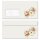 AUTUMN GARDEN Briefpapier Sets Pumpkin CLASSIC 40-pc. Complete set, DIN A4 & DIN LONG Set., SMC-8369-40