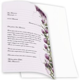 Stationery-Motif CROCUSES | Flowers & Petals | High quality Stationery DIN A4 - 250 Sheets | 90 g/m² | Printed on one side | Order online! | Paper-Media