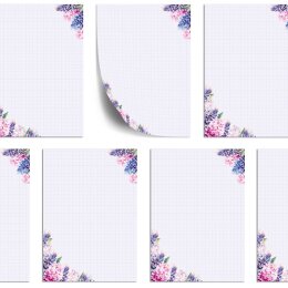 Motif Letter Paper! HYACINTHS 100 sheets DIN A6