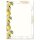 Motif Letter Paper! LEMONS 50 sheets DIN A5 Food & Drinks, Fruit, Paper-Media