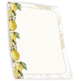 Motif Letter Paper! LEMONS 100 sheets DIN A6