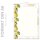 LEMONS Briefpapier Fruit CLASSIC 100 sheets, DIN A6 (105x148 mm), A6C-699-100