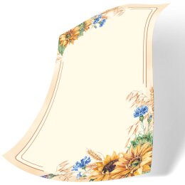 Motif Letter Paper! LATE SUMMER 100 sheets DIN A5