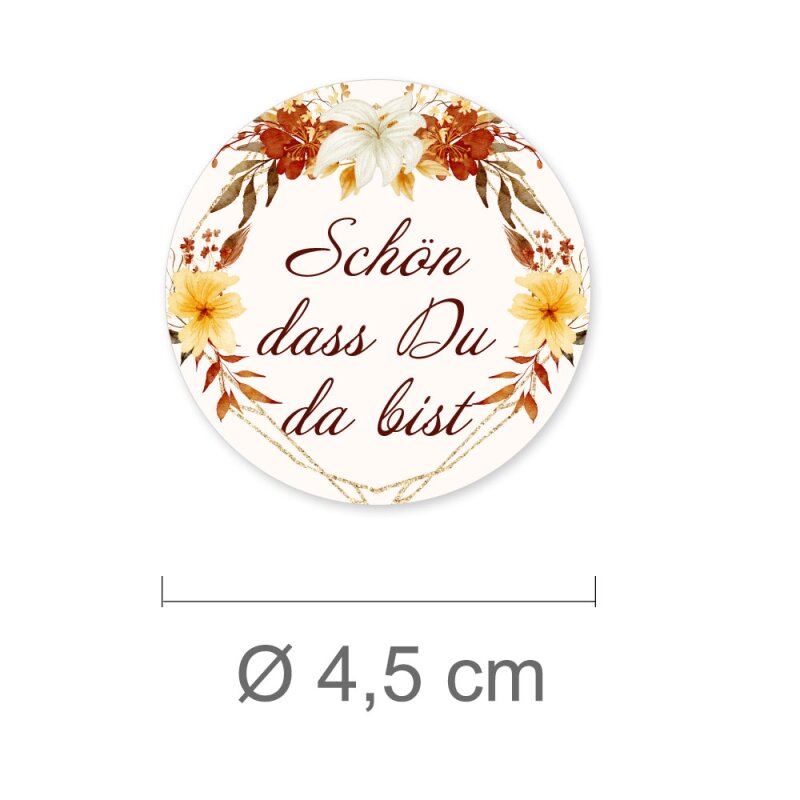 schön visual data 6