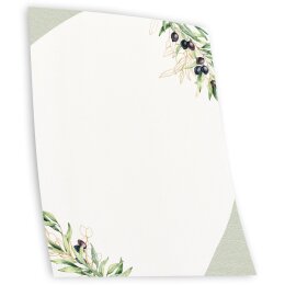 Briefpapier OLIVENZWEIGE - DIN A5 Format 100 Blatt