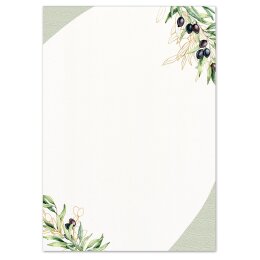 Motif Letter Paper! OLIVE BRANCHES 100 sheets DIN A5 Food...