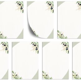 Motif Letter Paper! OLIVE BRANCHES 100 sheets DIN A5